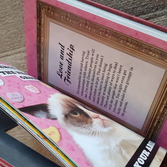 Grumpy Cat Mini Book & Plush - Picture 3 of 7